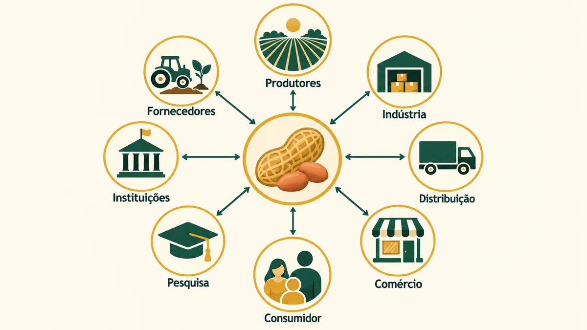 Infográfico dos elos da cadeia produtiva do amendoim: fornecedores, produtores, indústria, distribuição, comércio, pesquisa, instituições e consumidor.